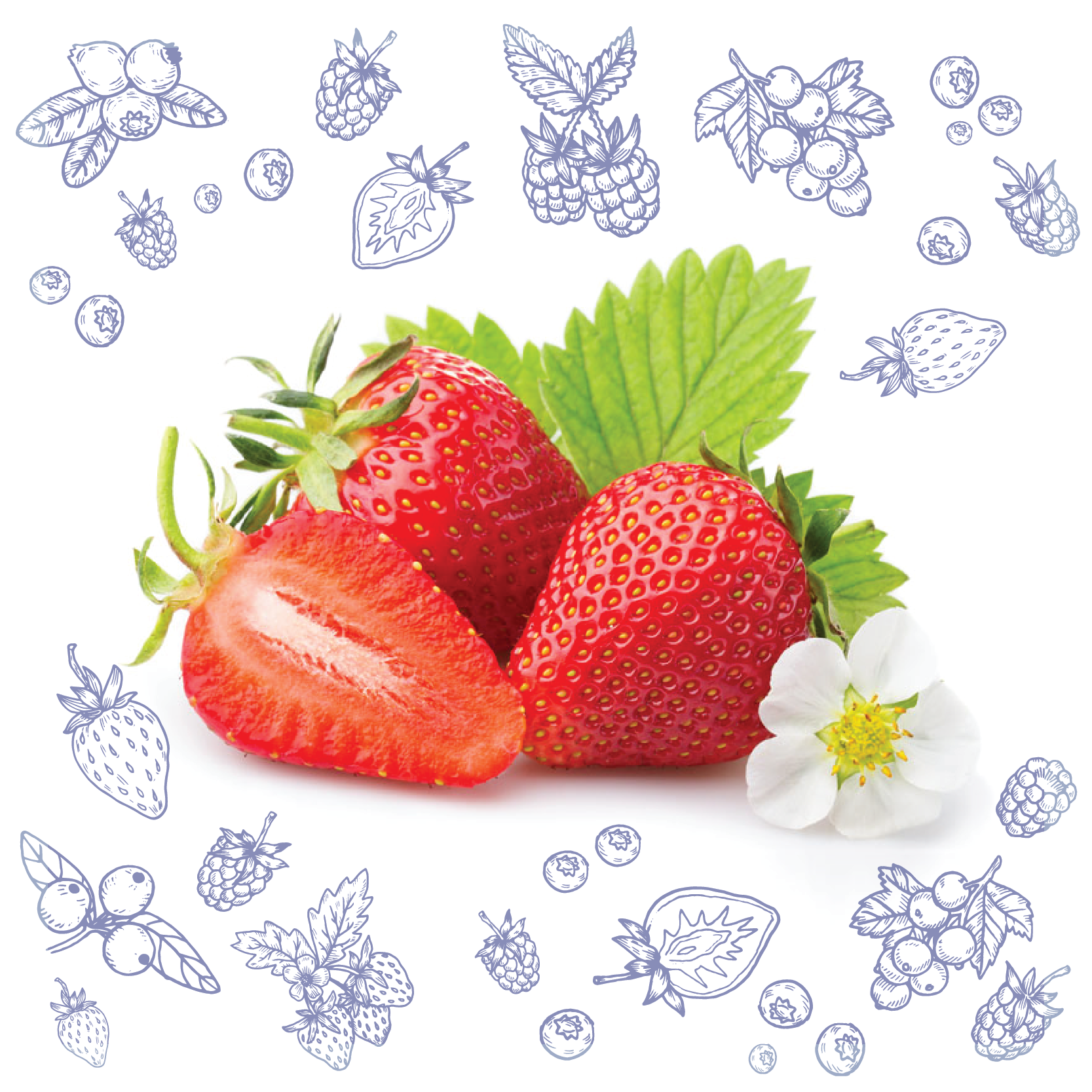 Polarica-Berries-mansikka