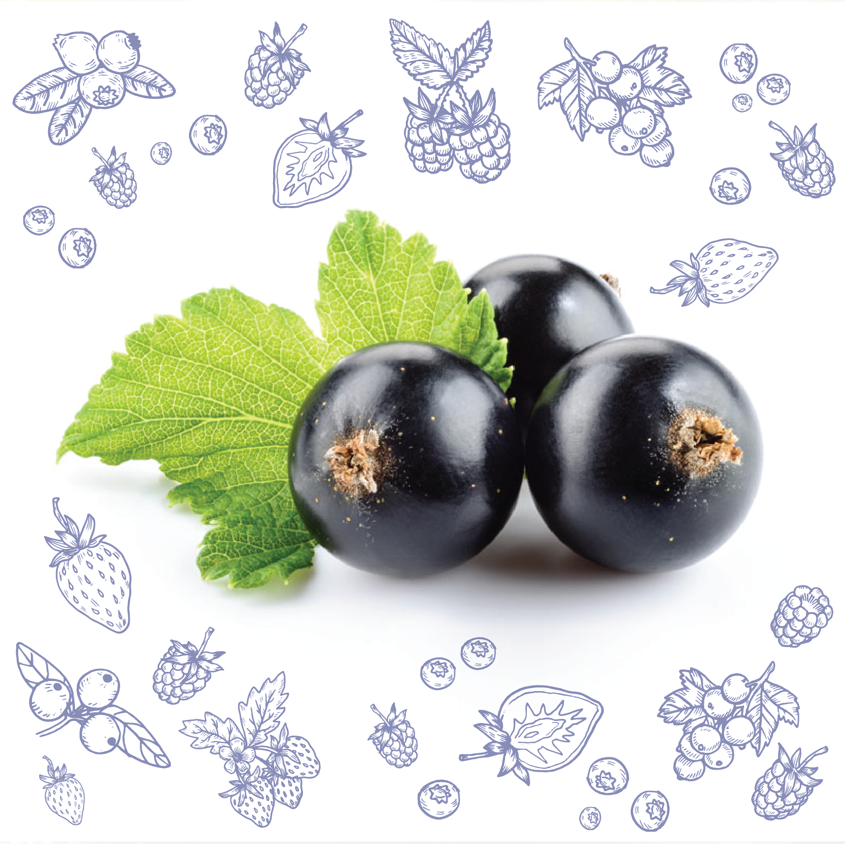 Polarica-Berries-mustaherukka