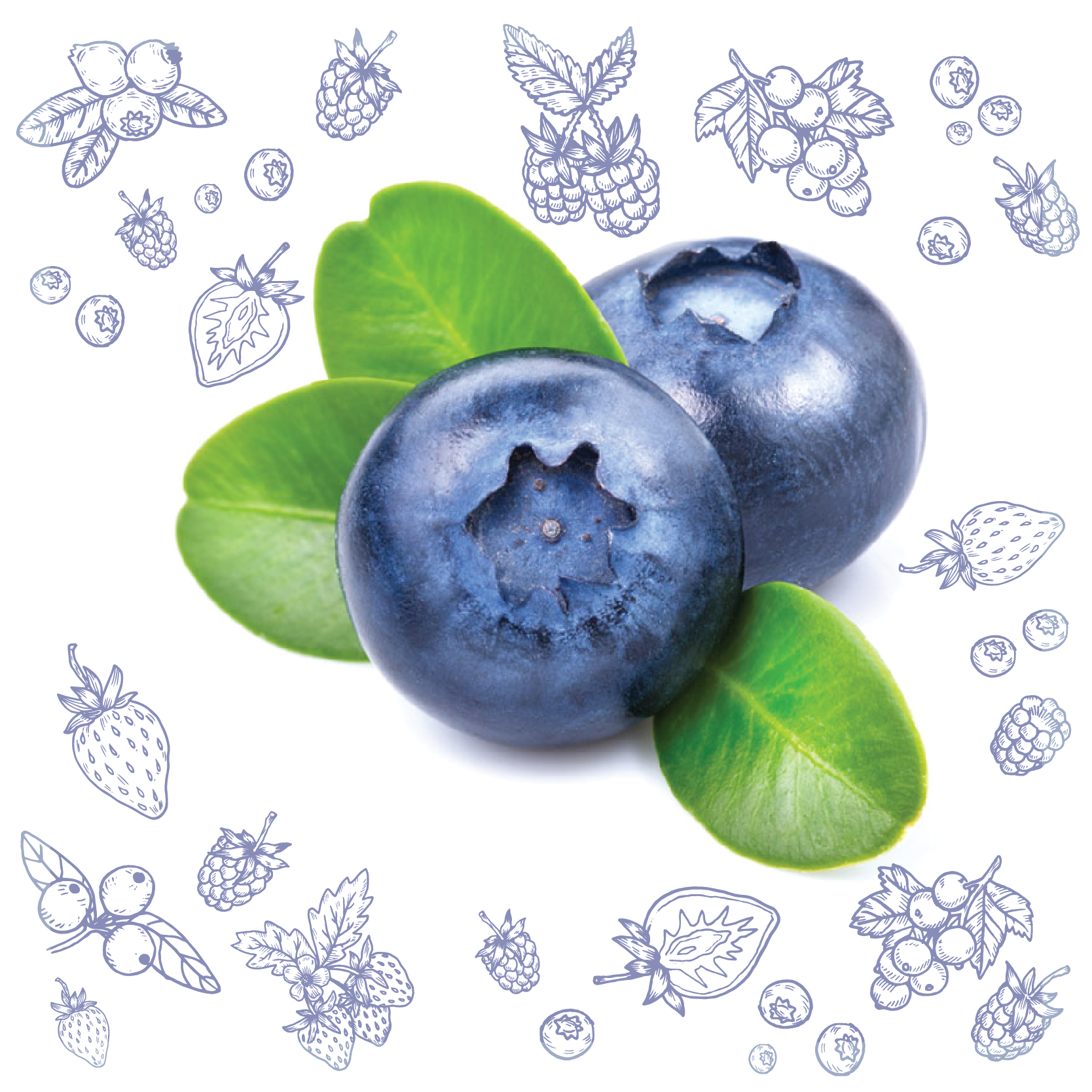 Polarica-Berries-bilberry