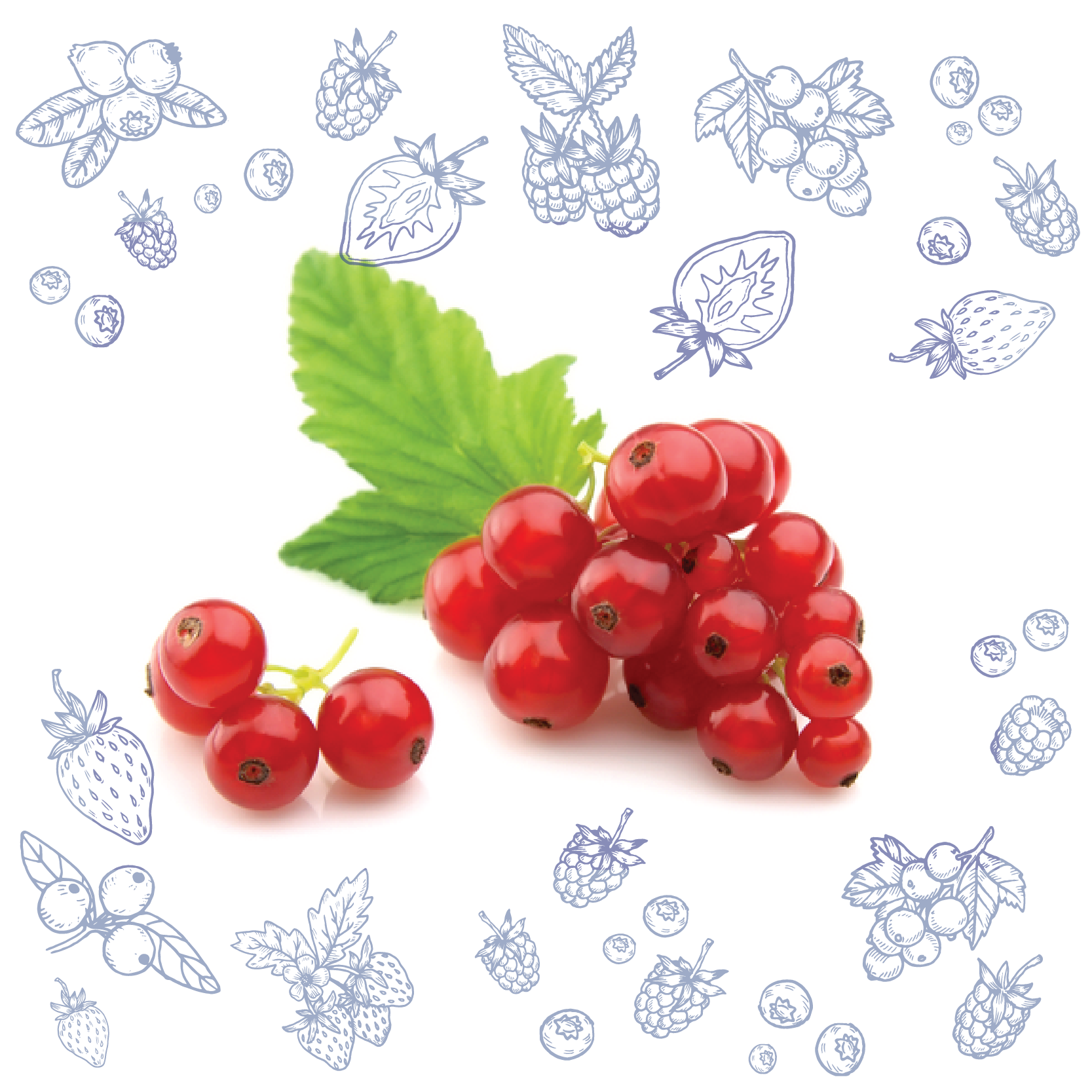 Polarica-Berries-punaherukka