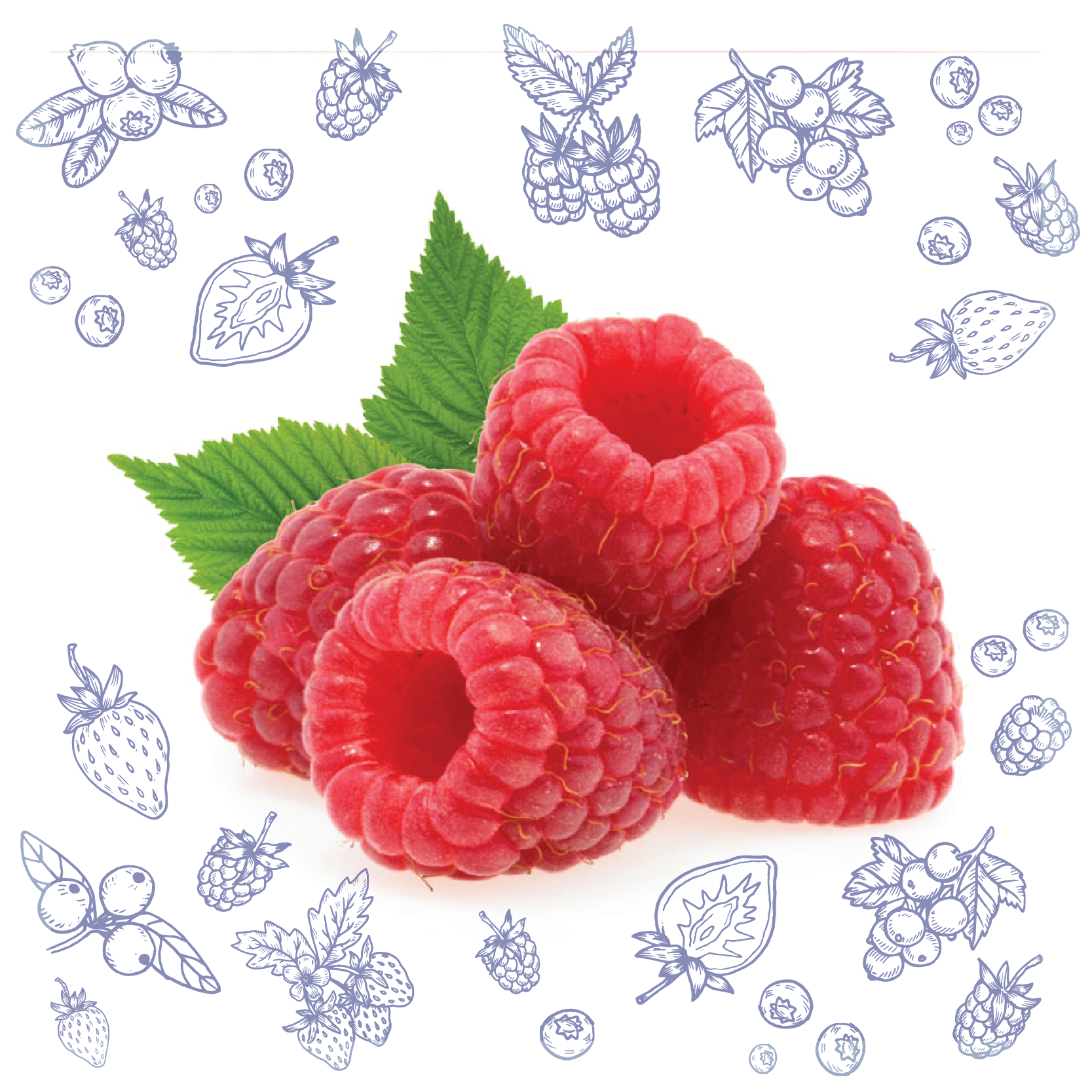 Polarica-Berries-raspberry