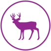 LAPIN LIHA - ikonit - SAKSANHIRVI