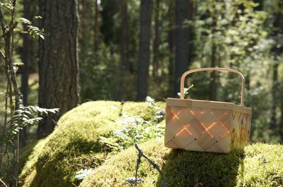 Polarica: Leading Positive Change in the Berry Industry