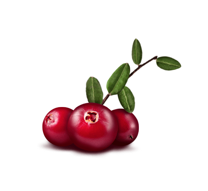 polarica_cranberry_RGB