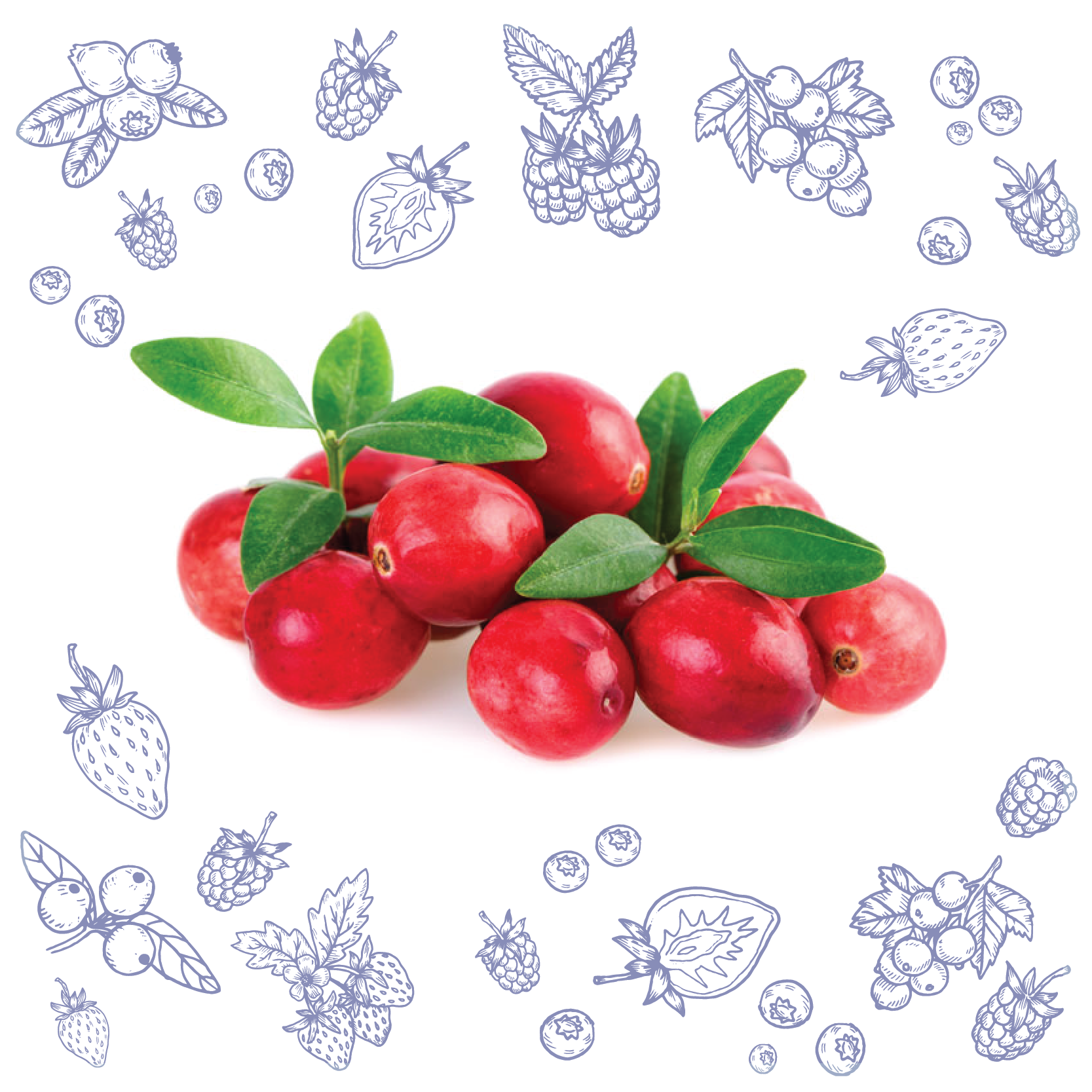 Polarica-Berries-karpalo