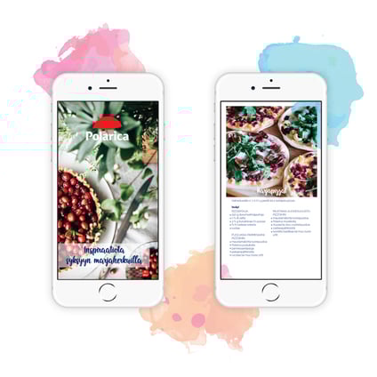 Polarica-fall-e-book-preview-FI