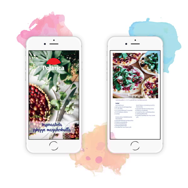 Polarica-fall-e-book-preview-FI