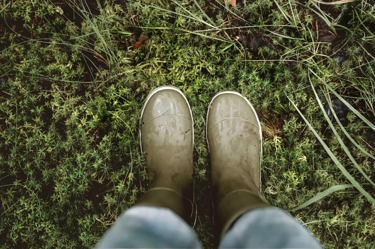 thumbnail_Polarica_wellies_RGB