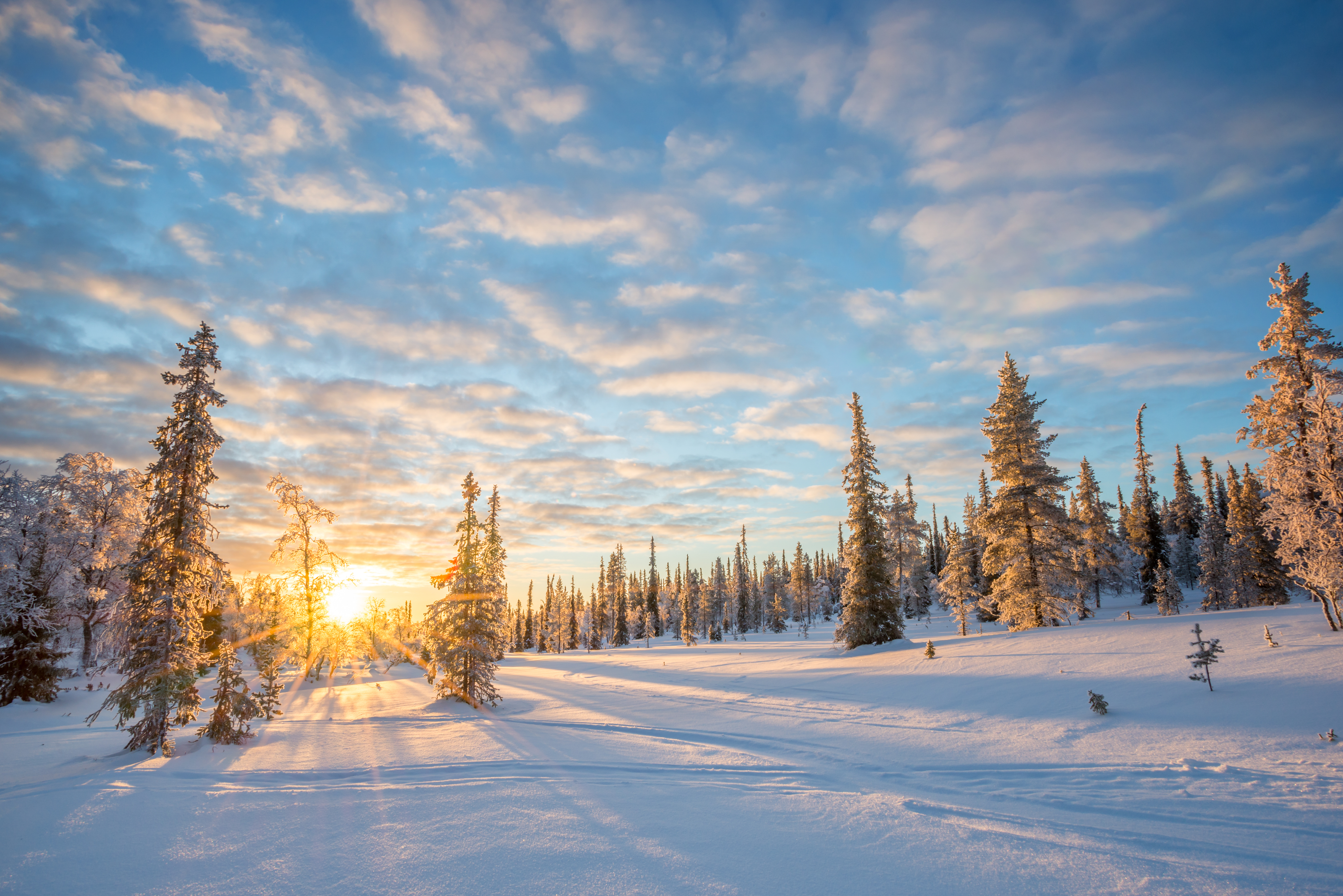 Parempi, ilmastoystävällinen valinta - featured image