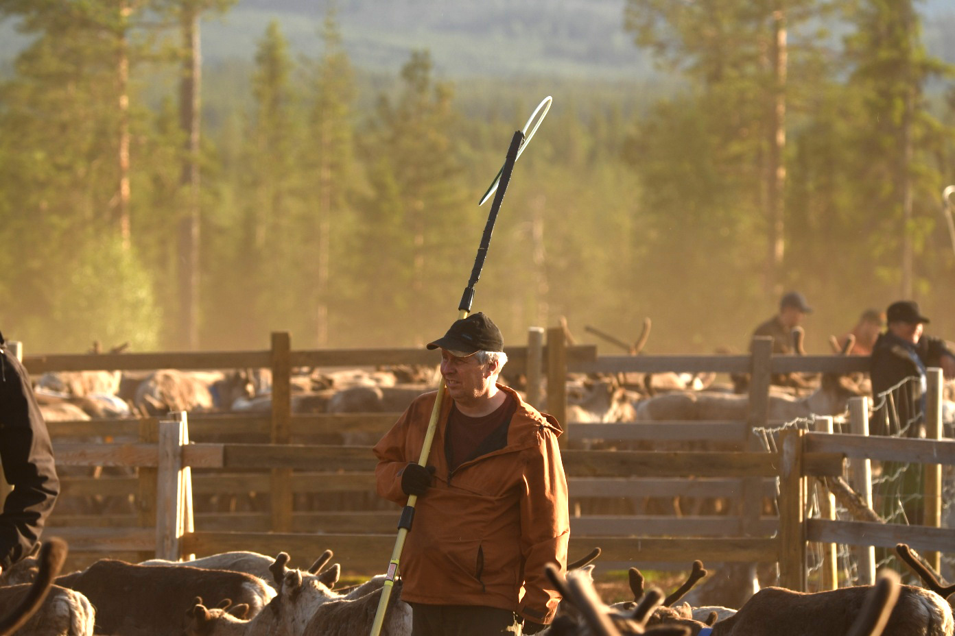 Renen är allt för oss - featured image