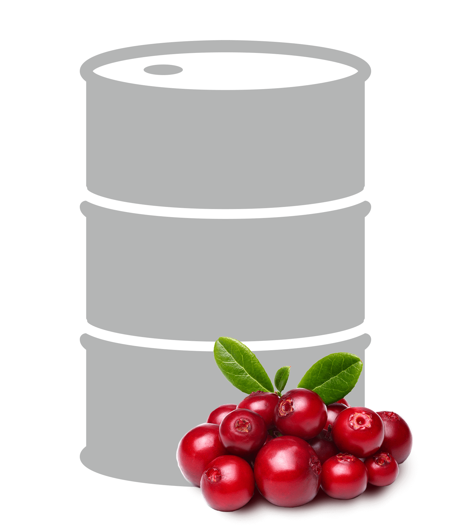 Polarica_Industry_200-250kg_barrel